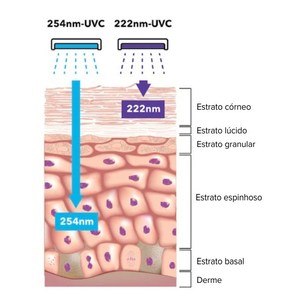Colo a luz UVC afeta a pele